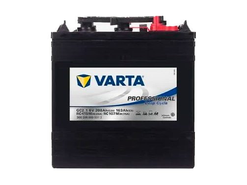 Varta Professional Deep Cycle Gc